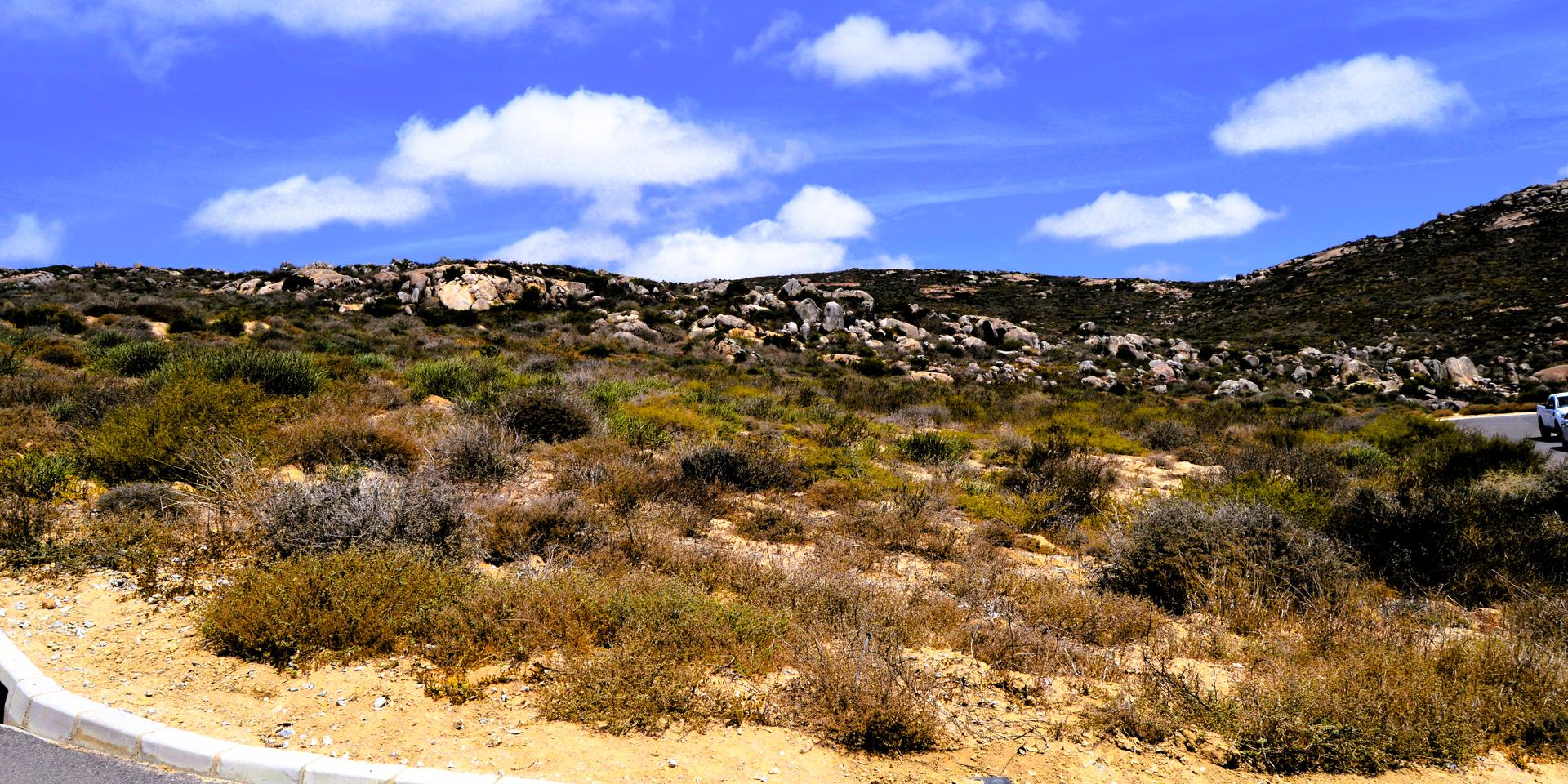 Image 4 of 6