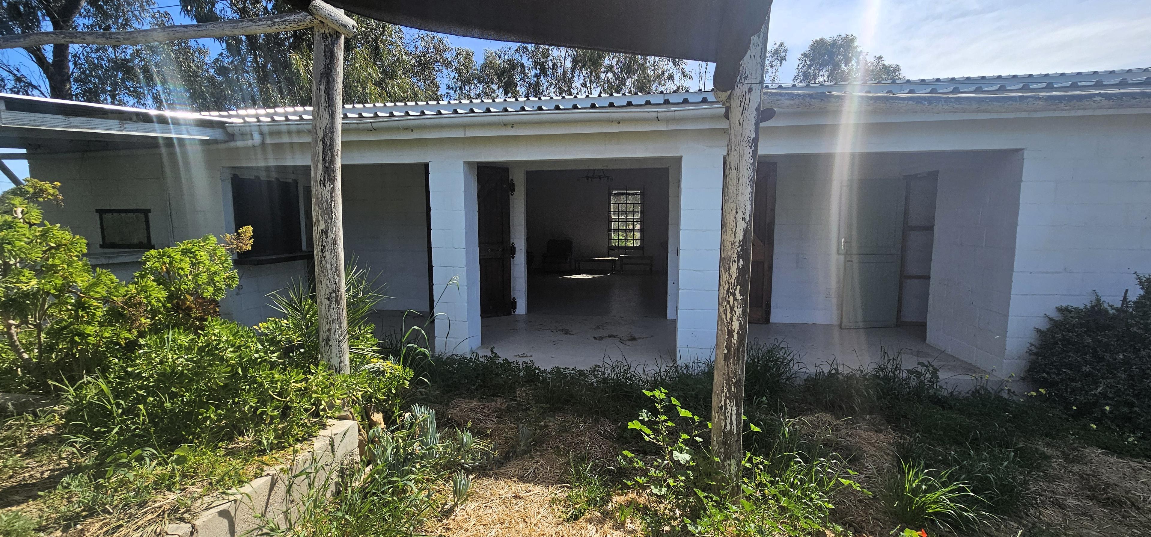Image 33