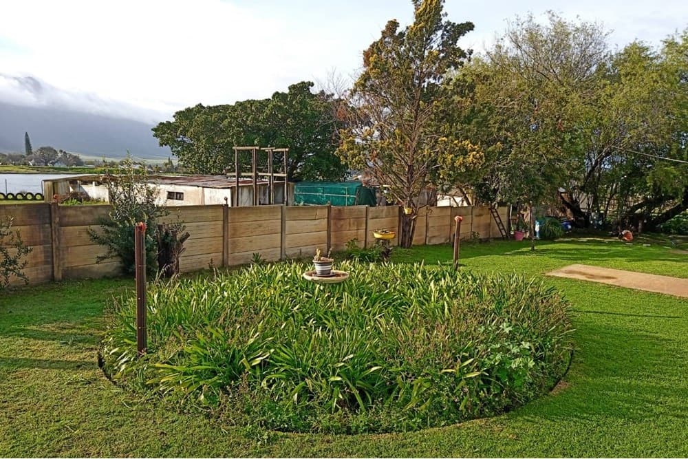 Image 33