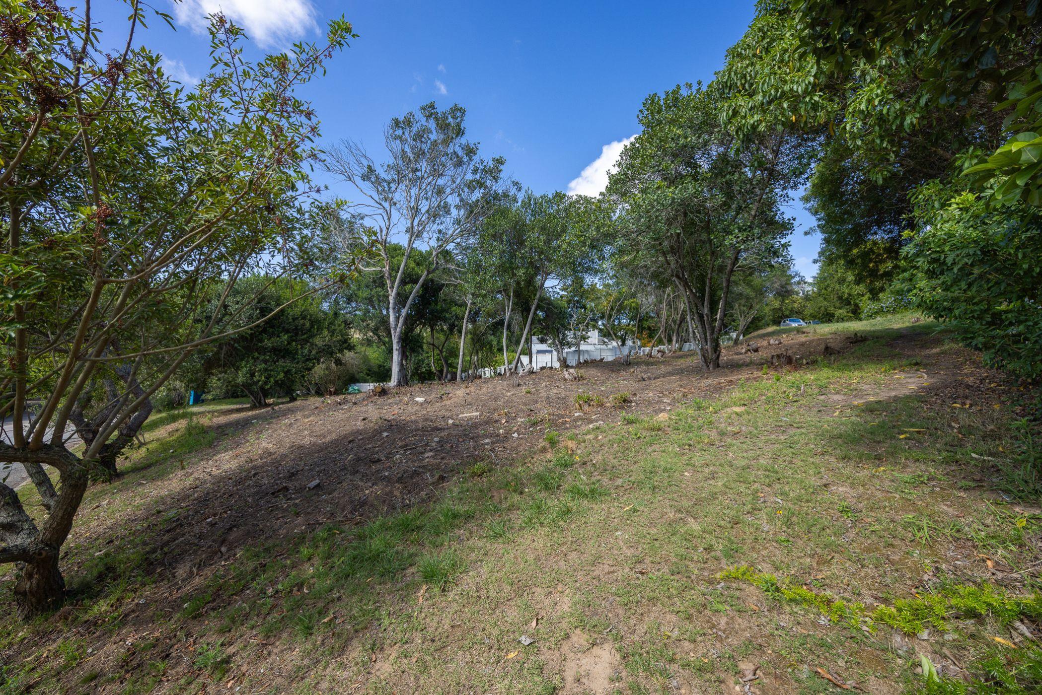 Image 15
