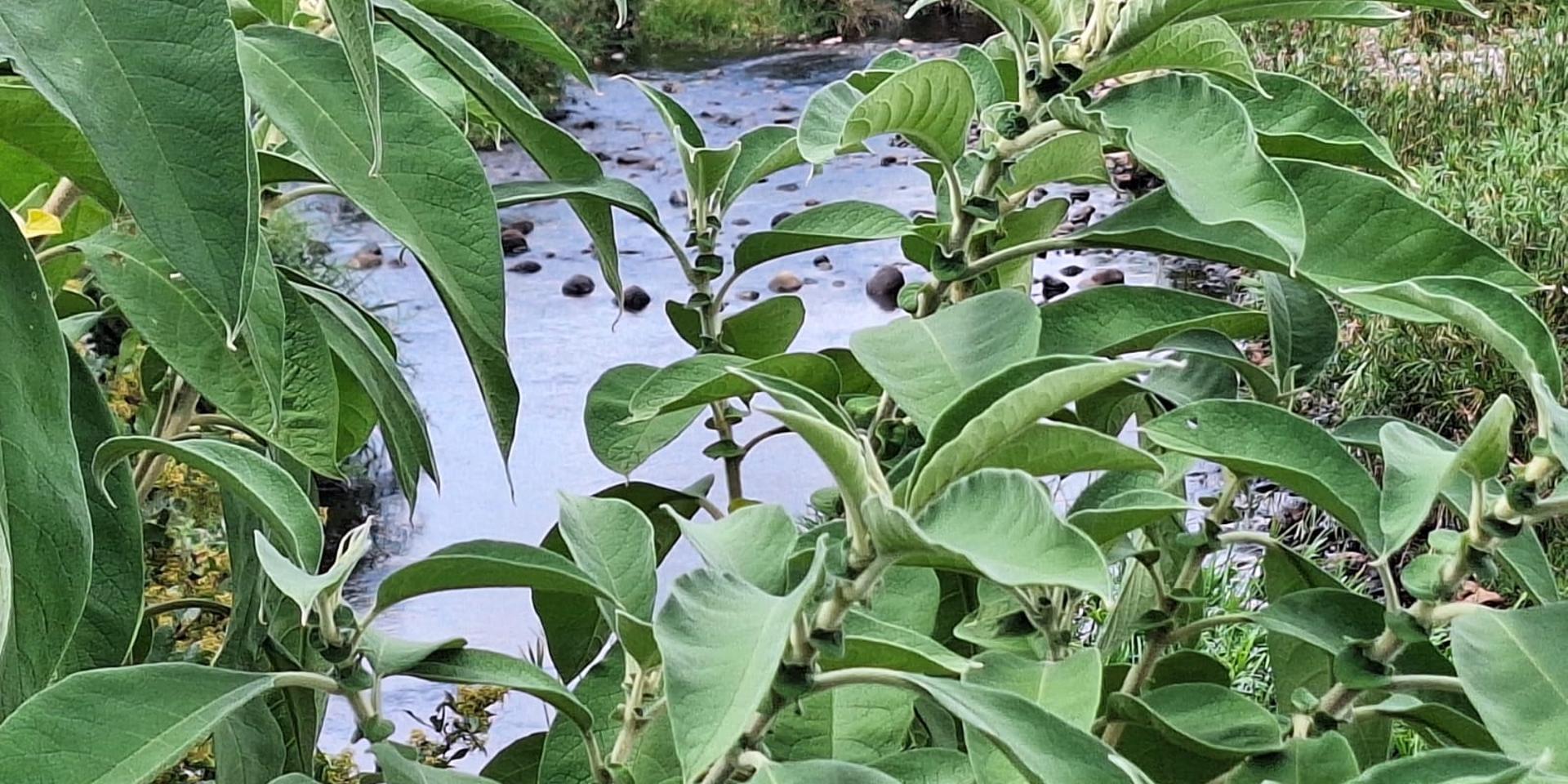 Image 5 of 6