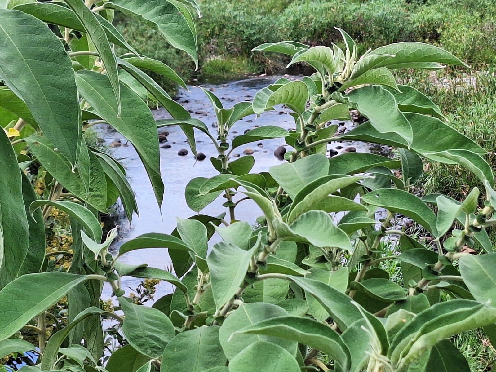 Image 5 of 6