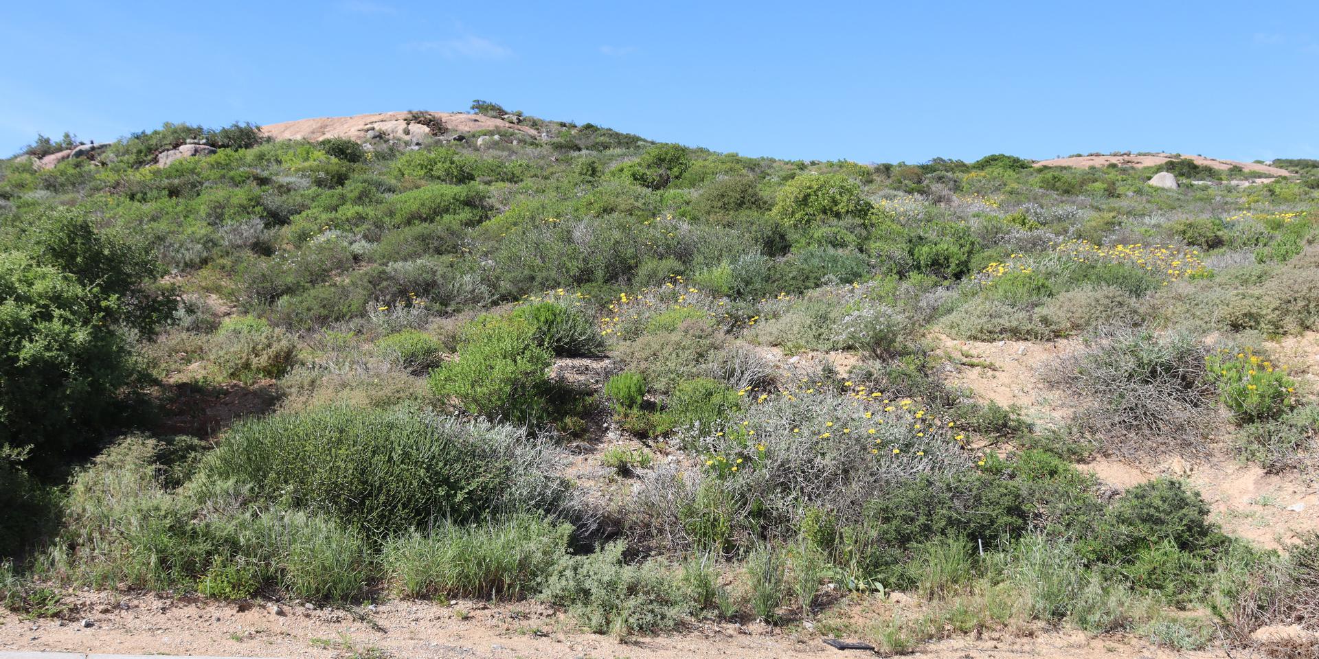 Image 4 of 6