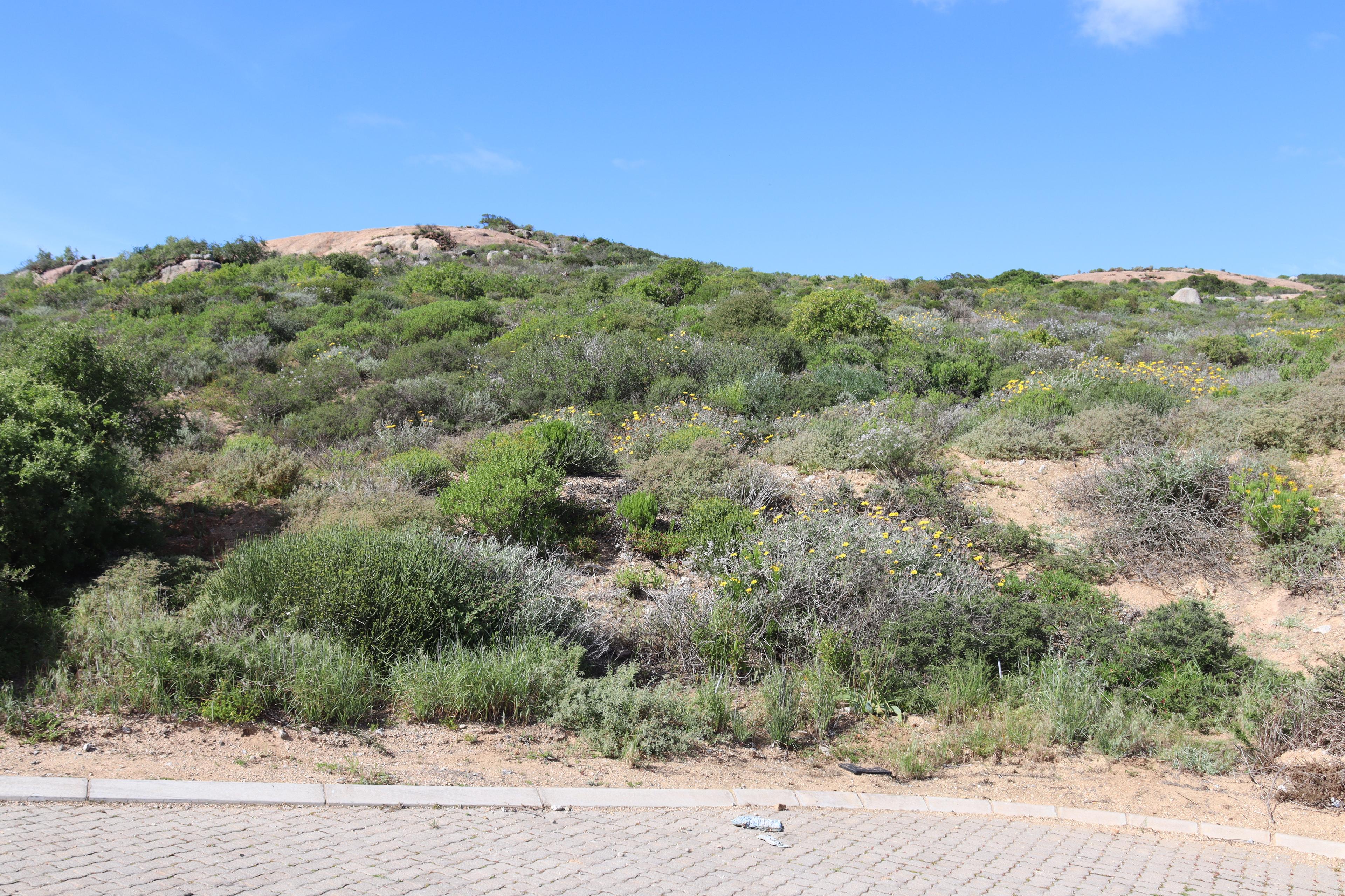 Image 4 of 6