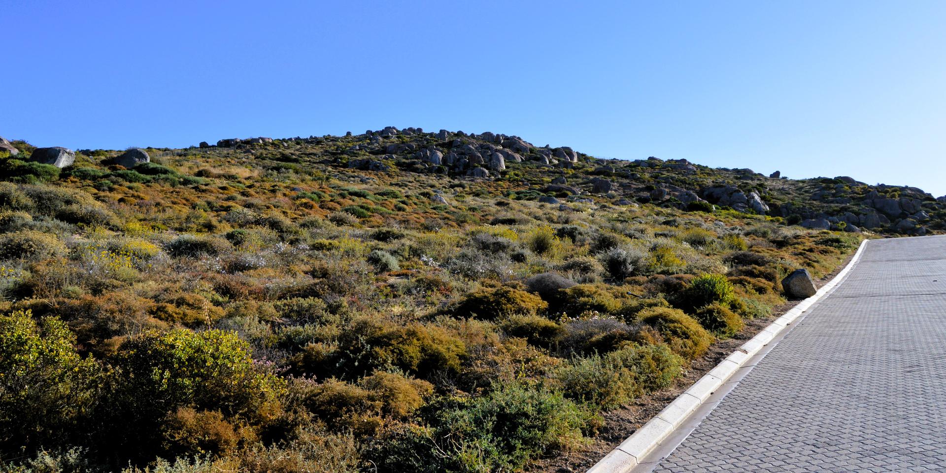 Image 5 of 6