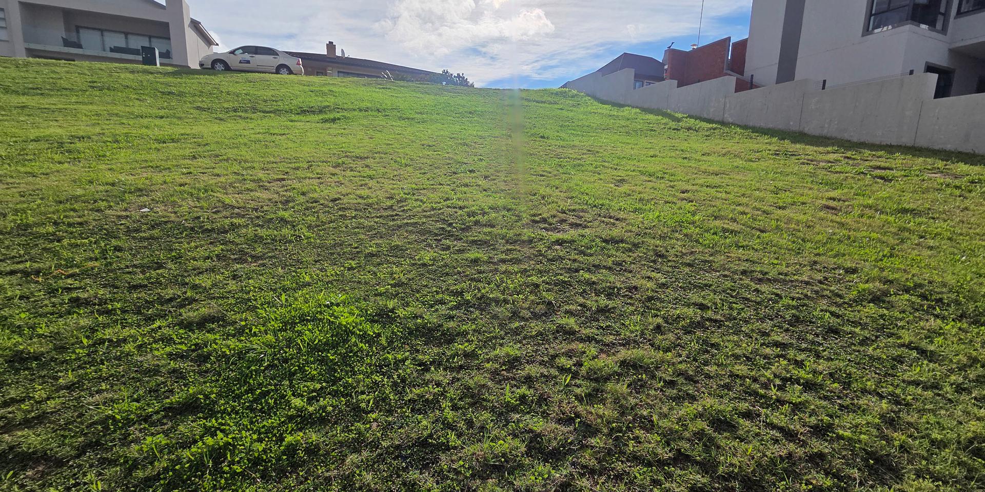 Image 4 of 6