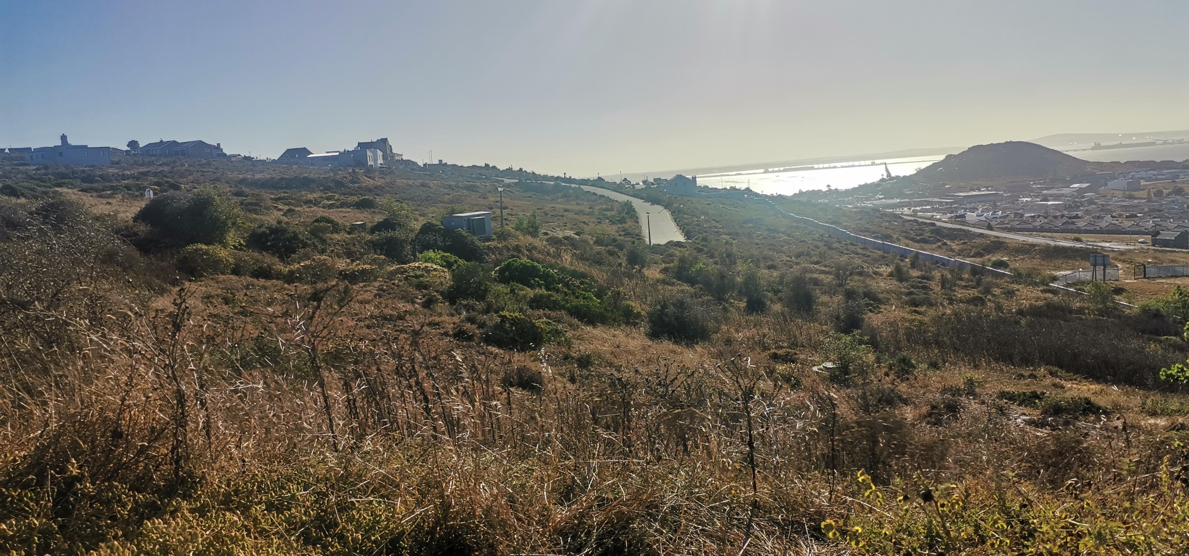 Image 5 of 6