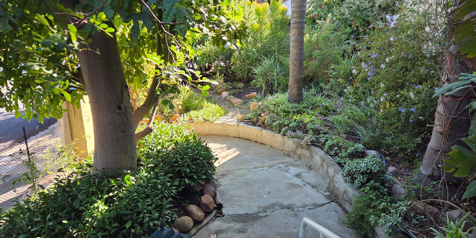 Image 4 of 6