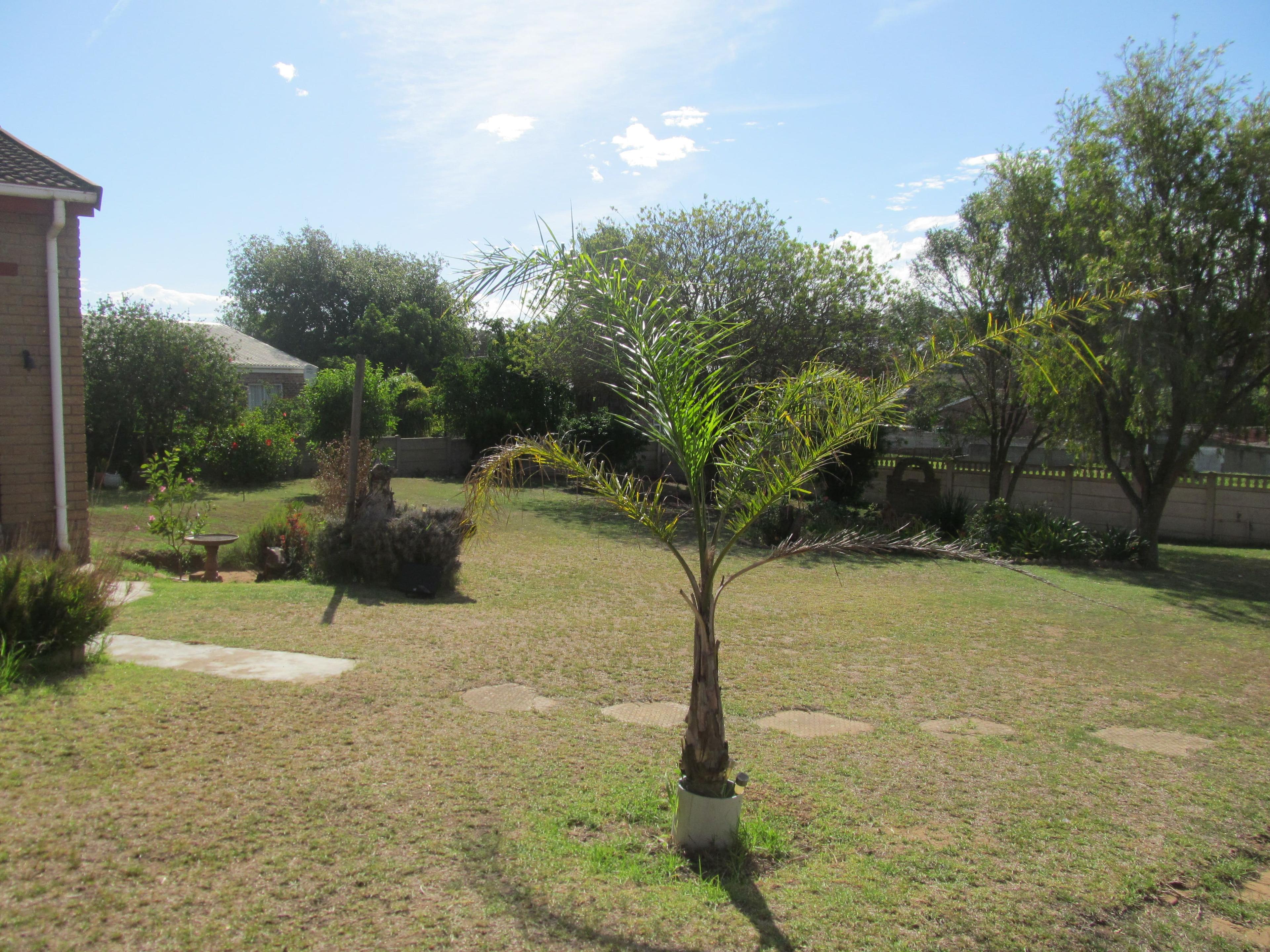 Image 28
