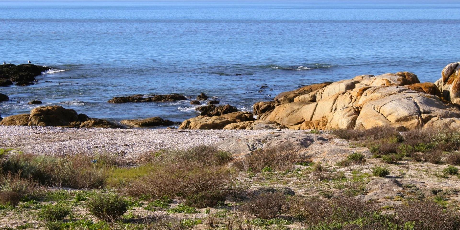 Image 4 of 6