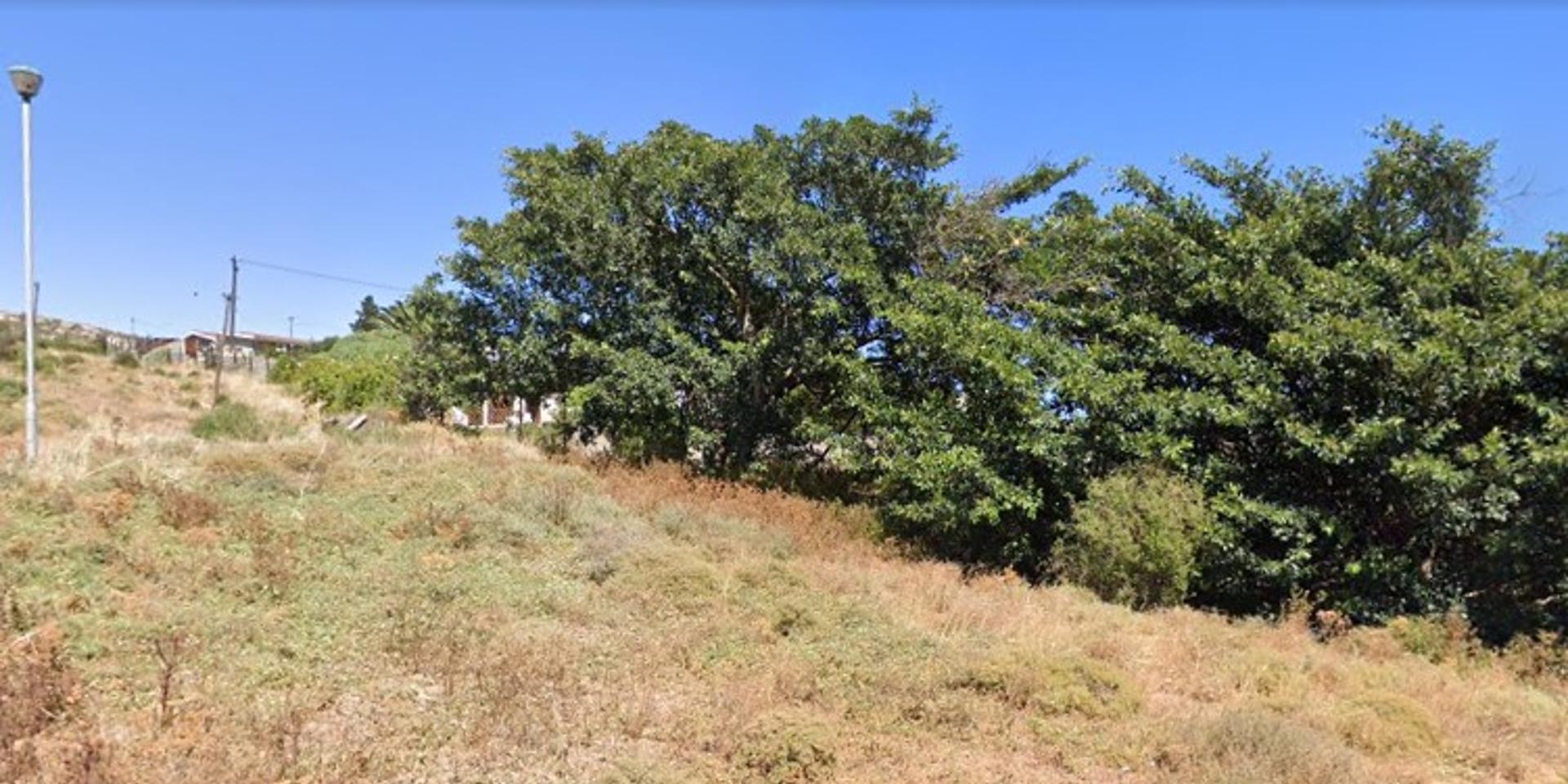 Image 3 of 6