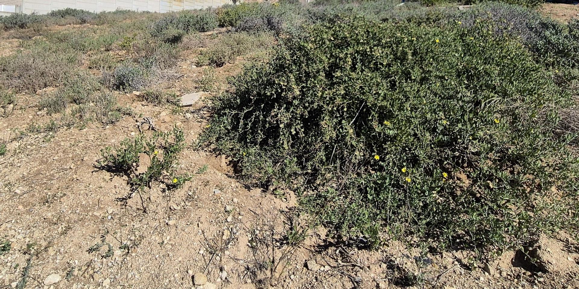 Image 3 of 6