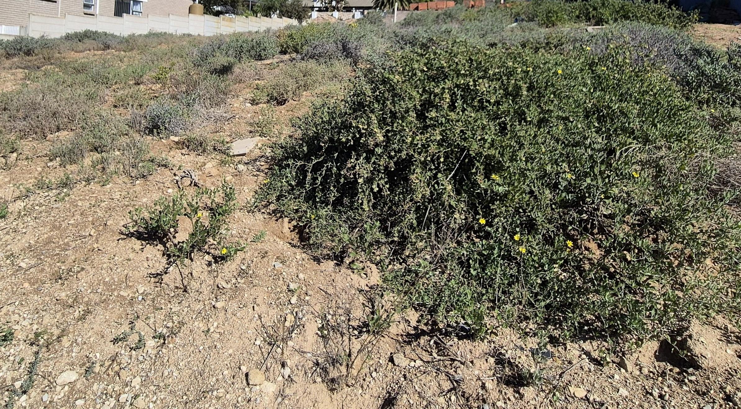 Image 3 of 6