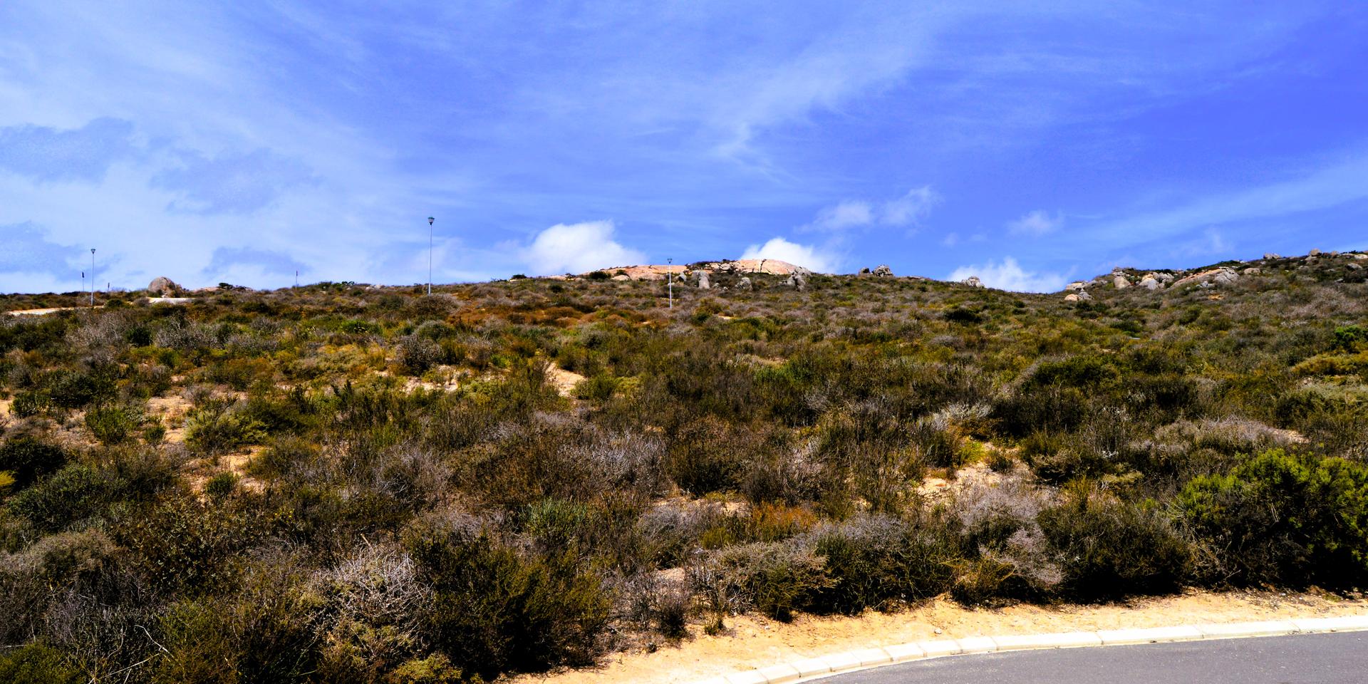 Image 2 of 6