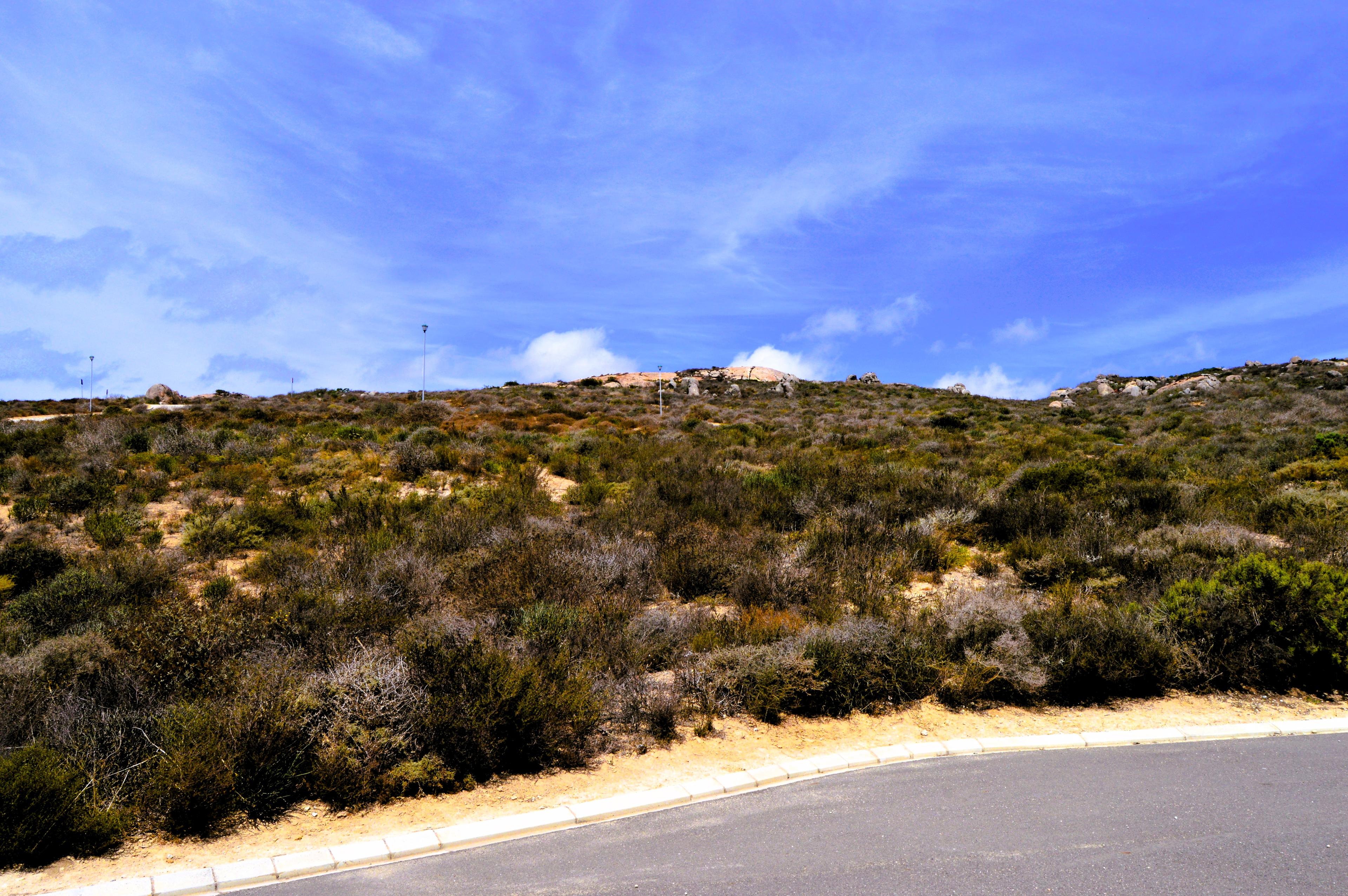 Image 2 of 6