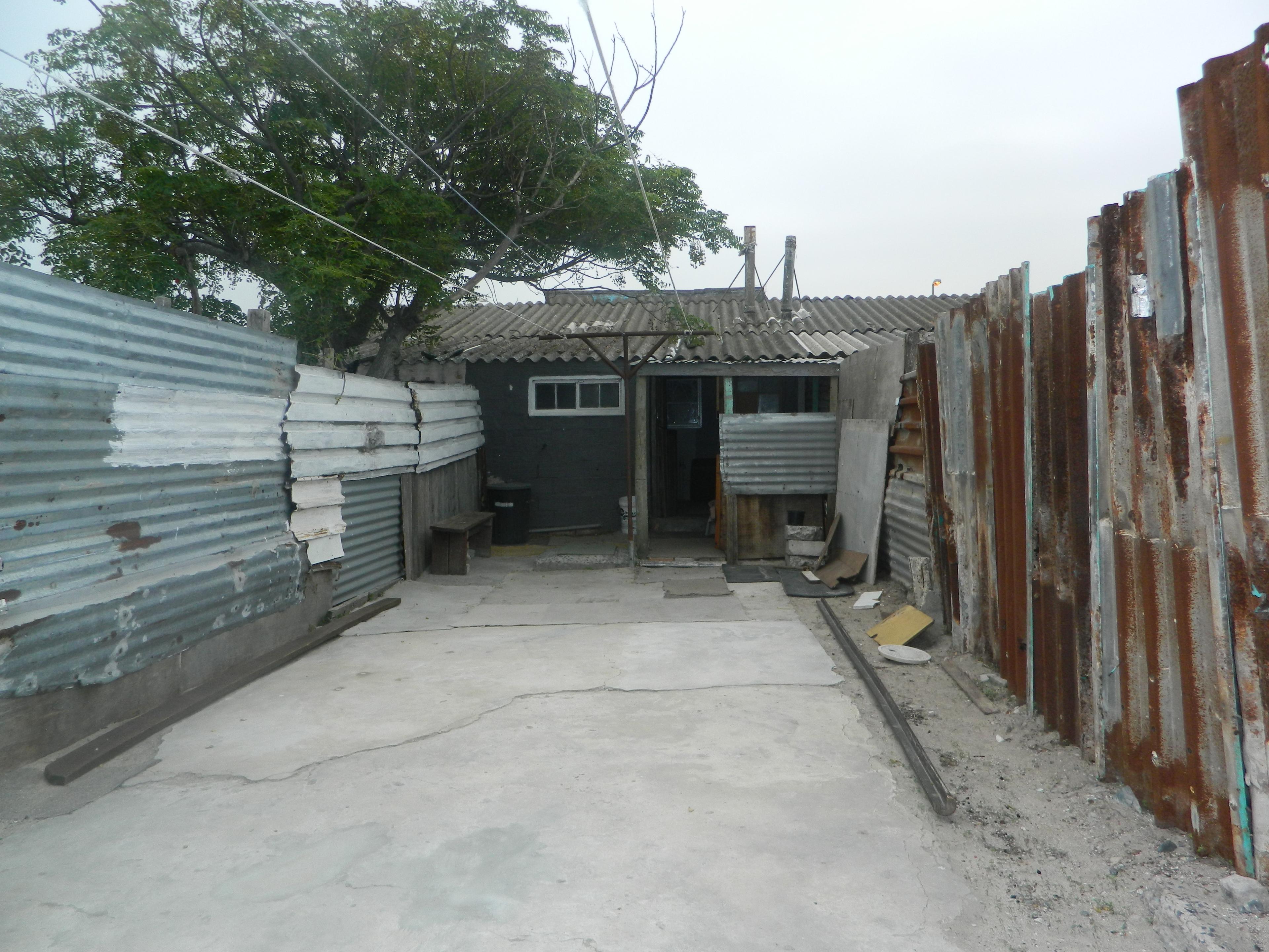 Image 19