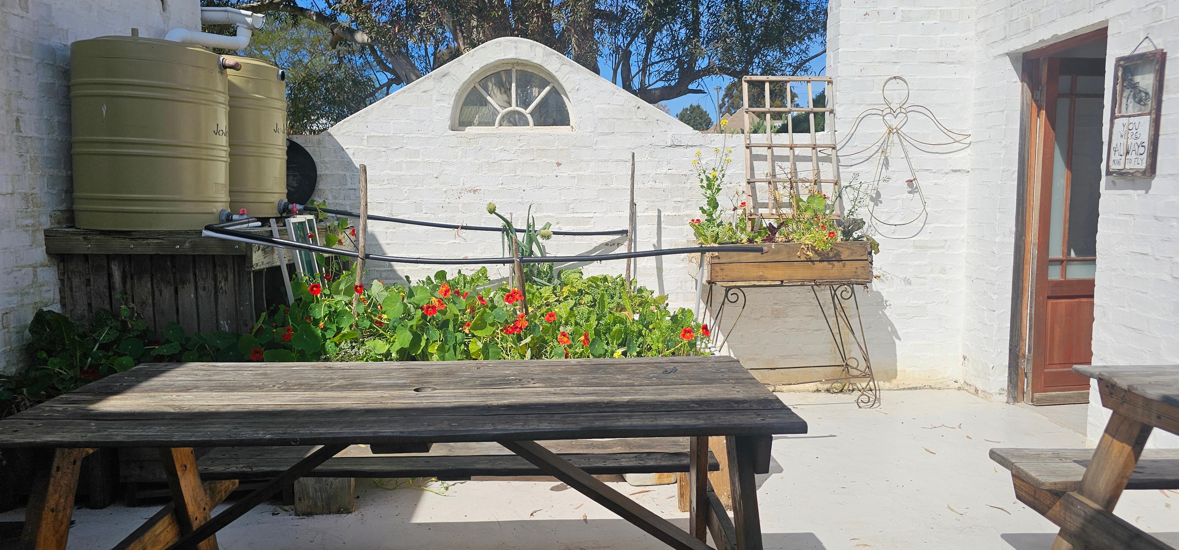 Image 14