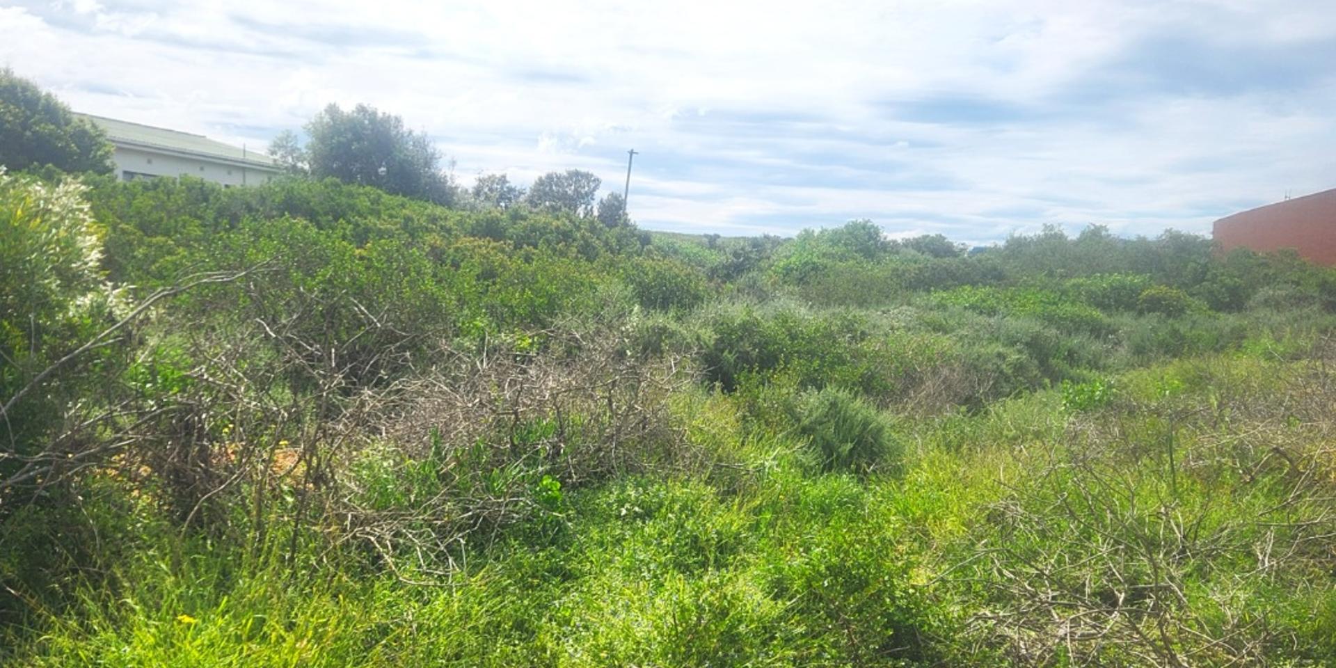 Image 4 of 6