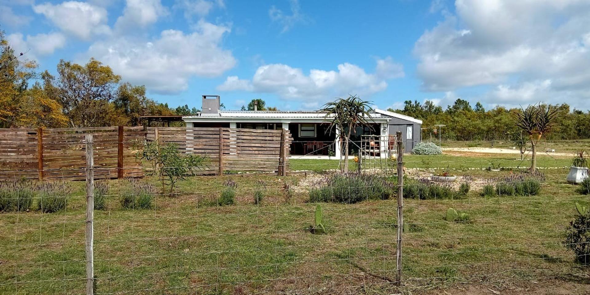 Image 4 of 6