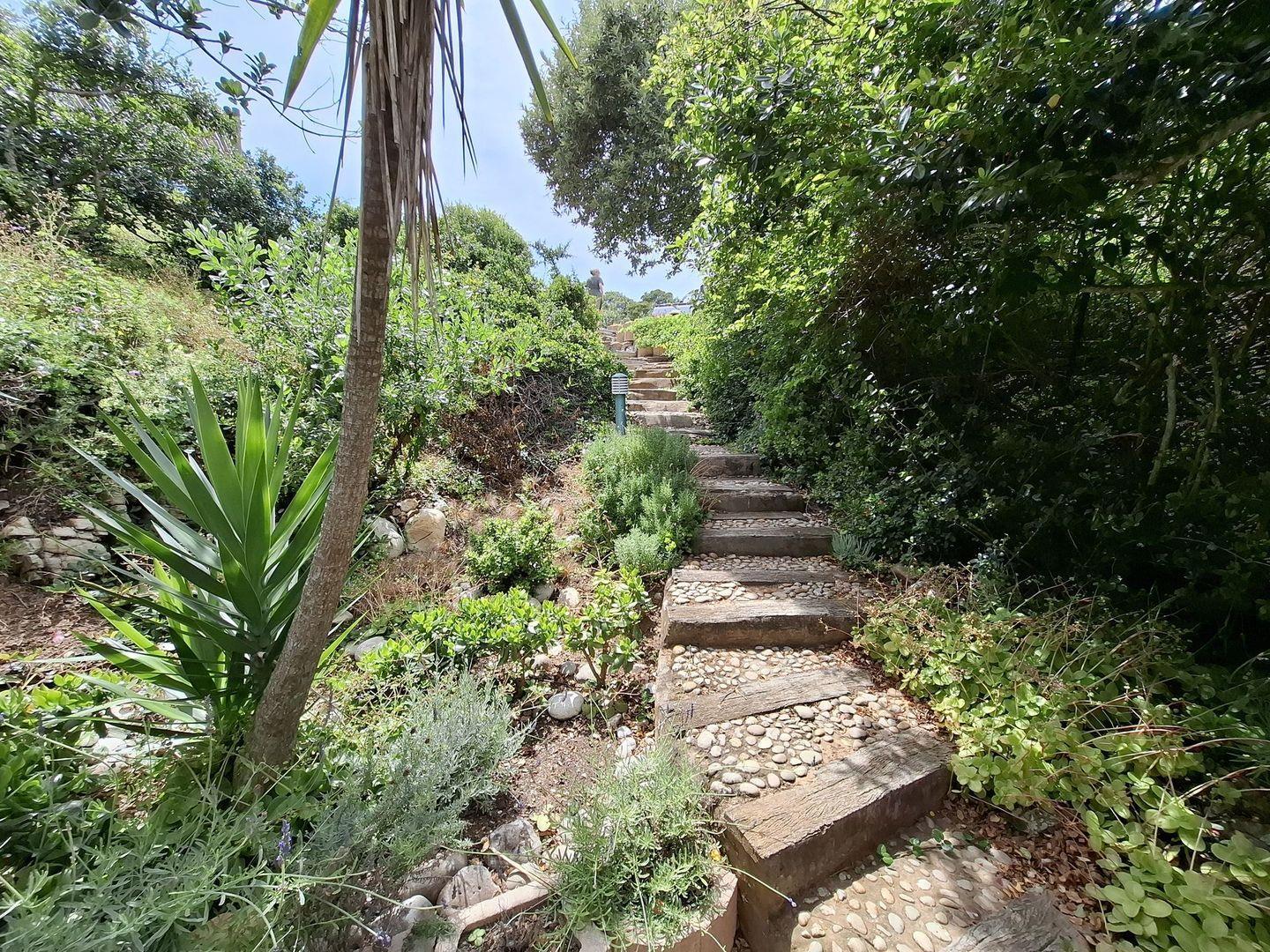 Image 22