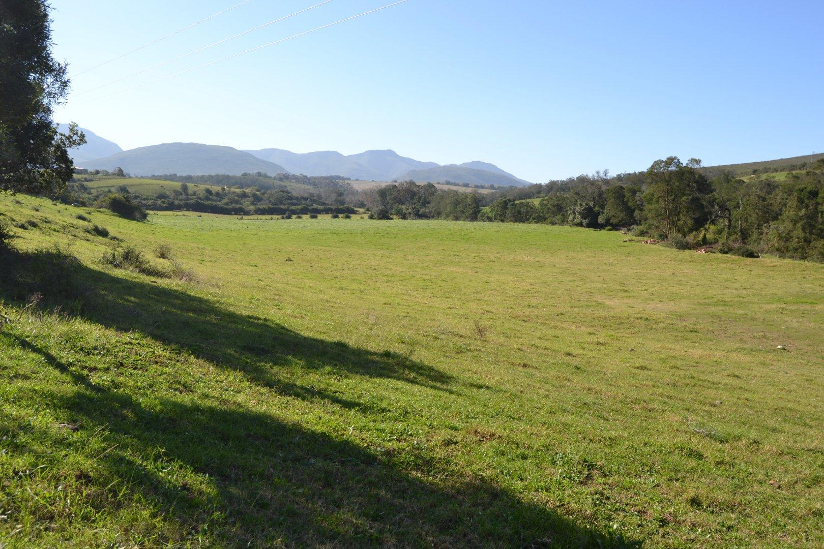 Image 15