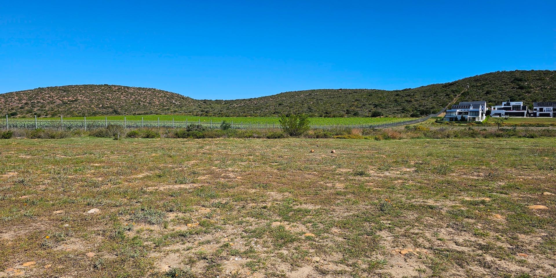 Image 4 of 6