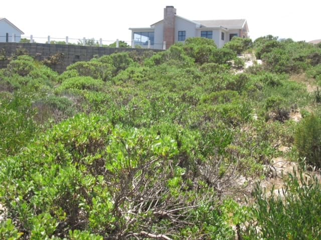 Image 22