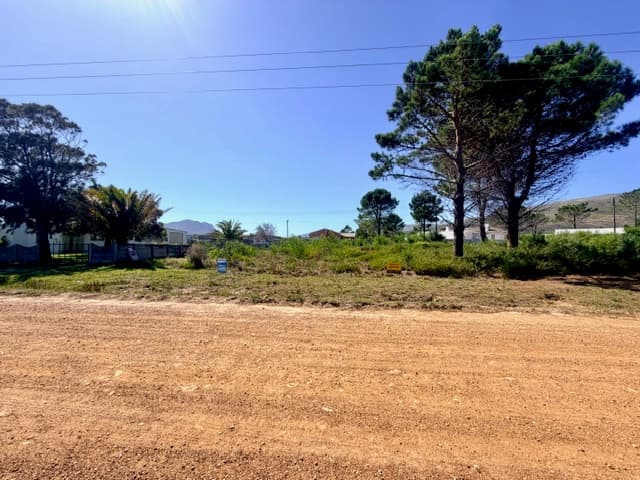 Image 12