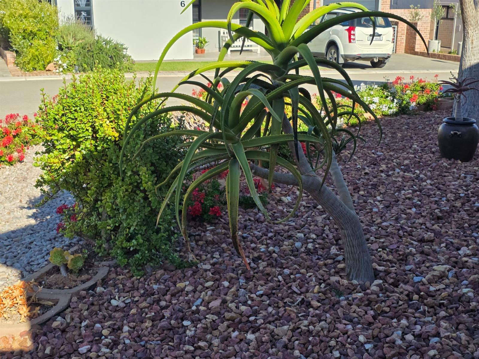 Image 14