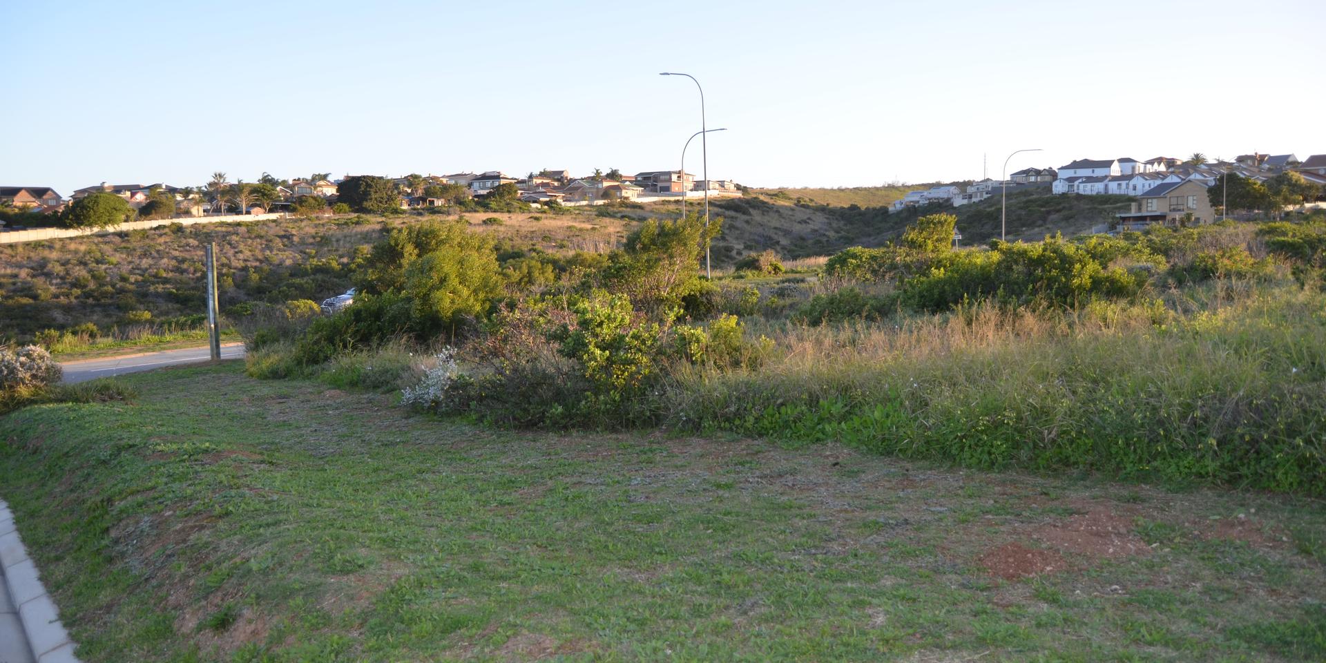 Image 4 of 6