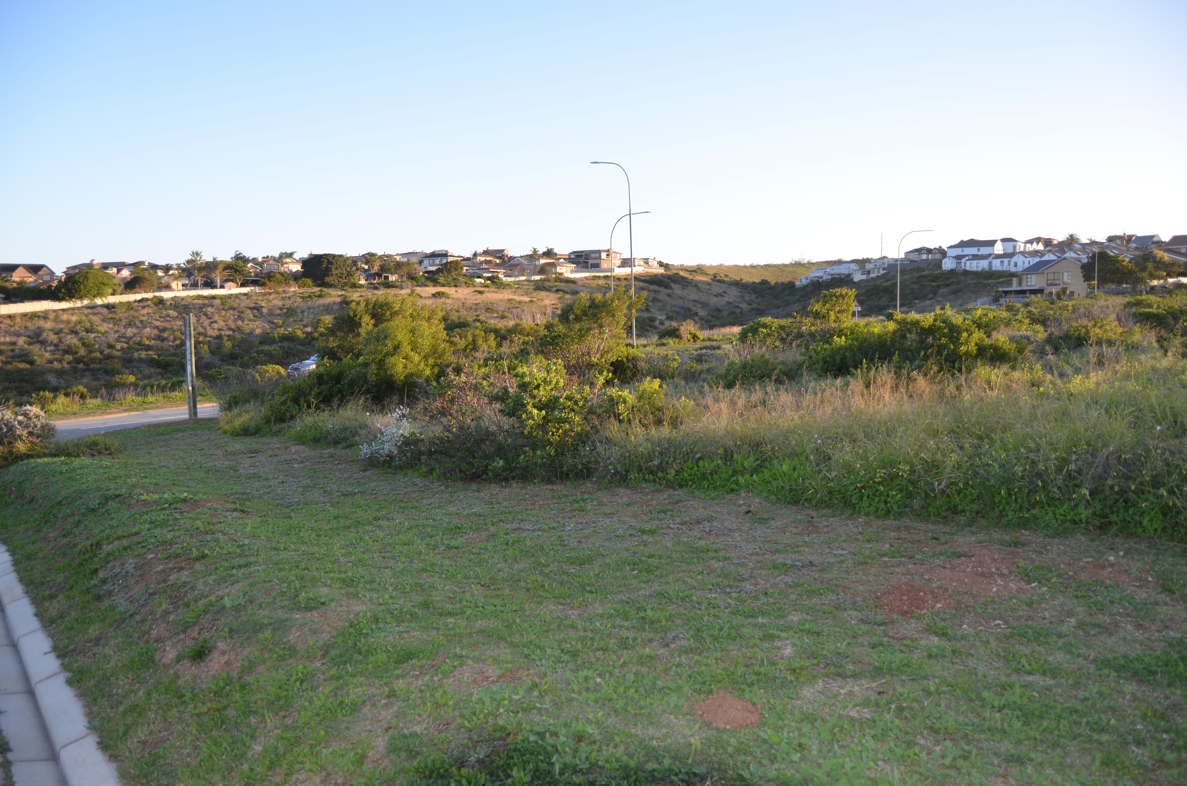 Image 4 of 6