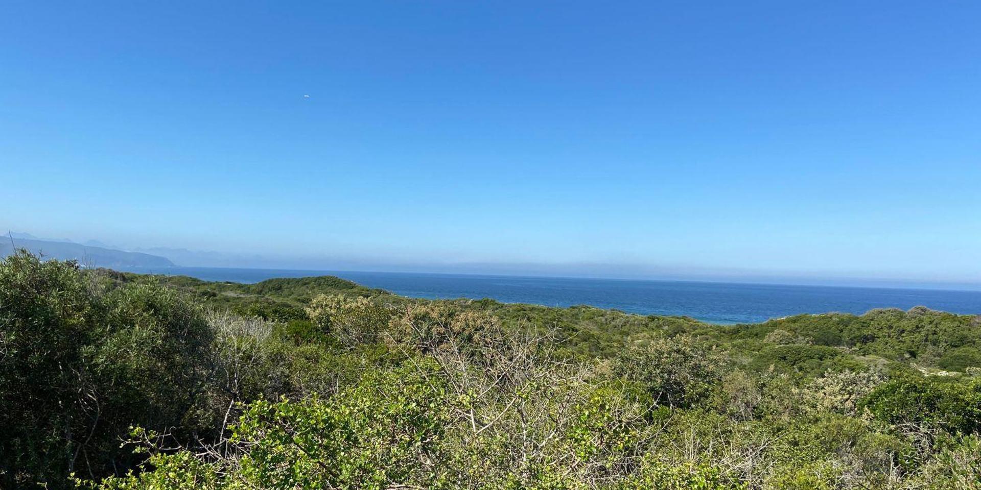Image 4 of 6