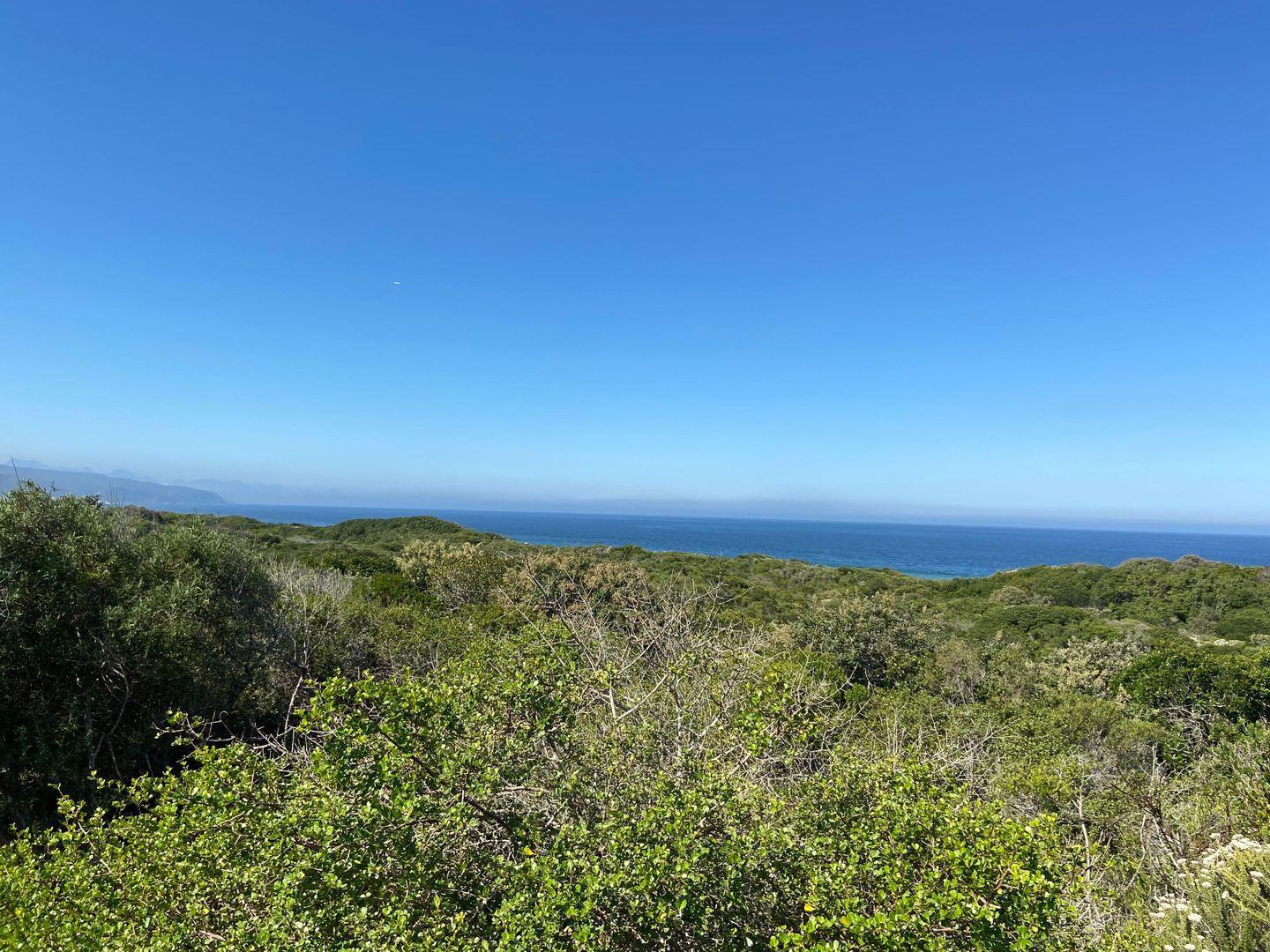 Image 4 of 6