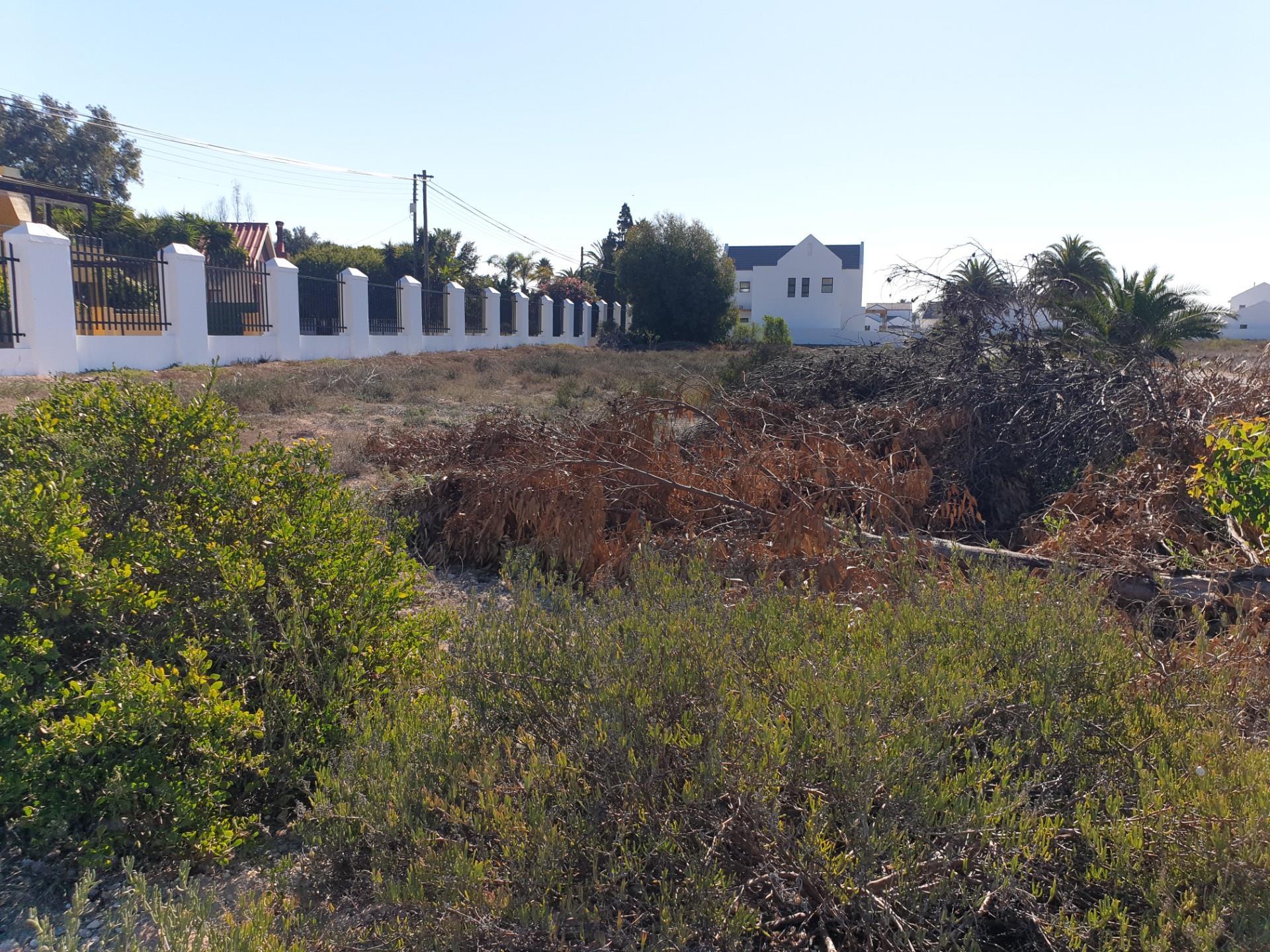 Image 5 of 6