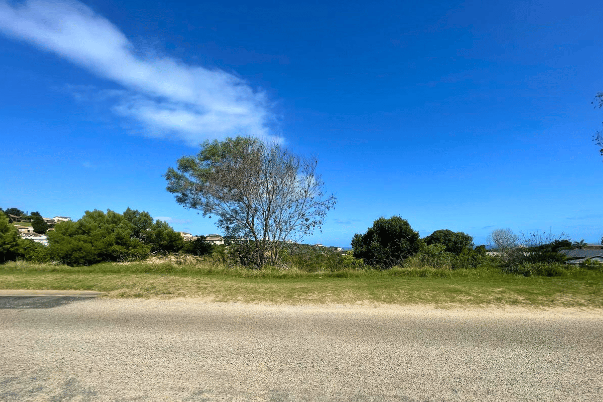 Image 2 of 6