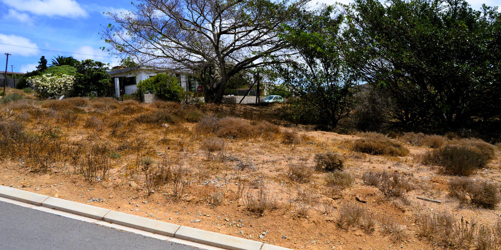 Image 4 of 6
