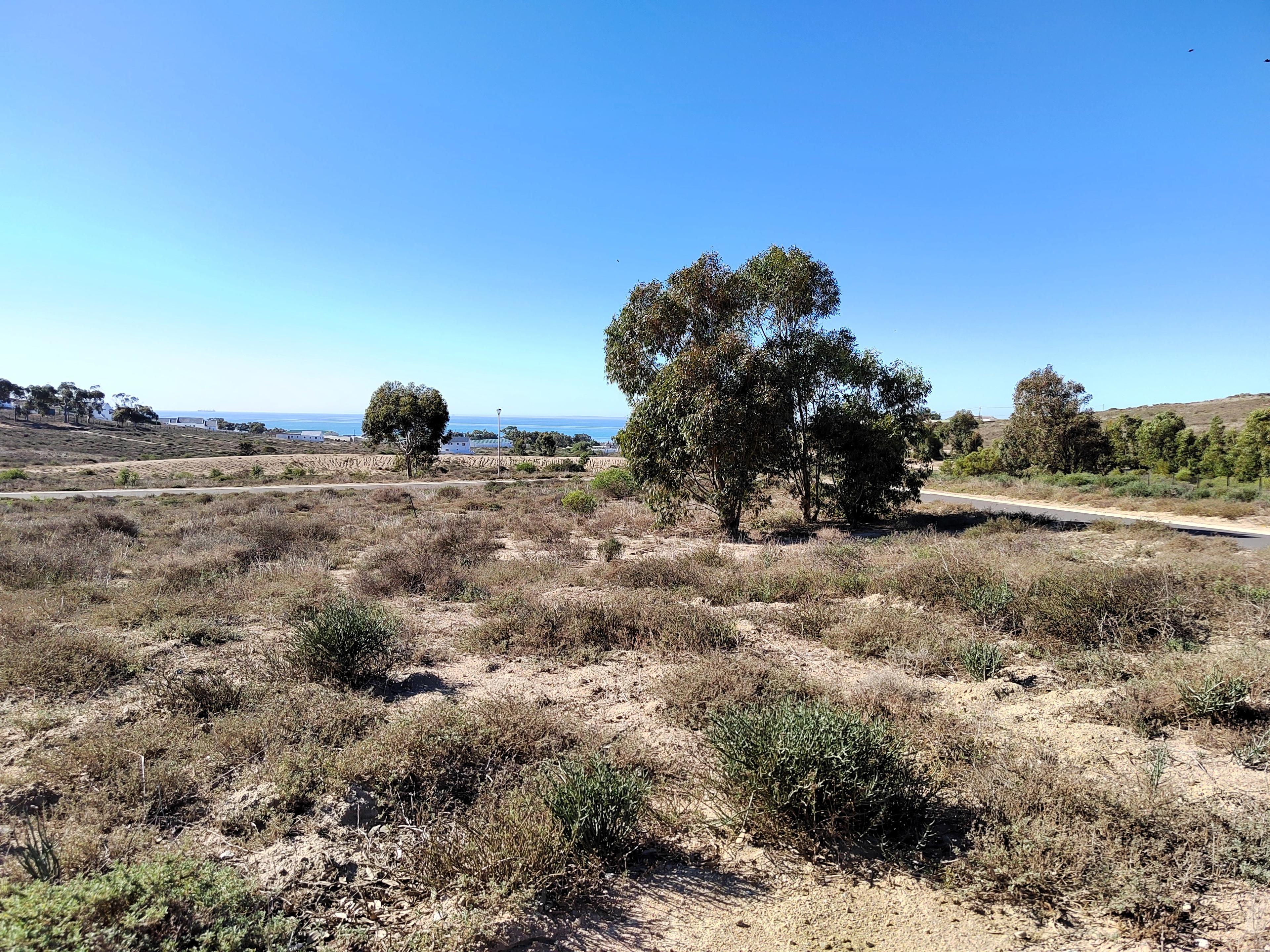 Image 2 of 6