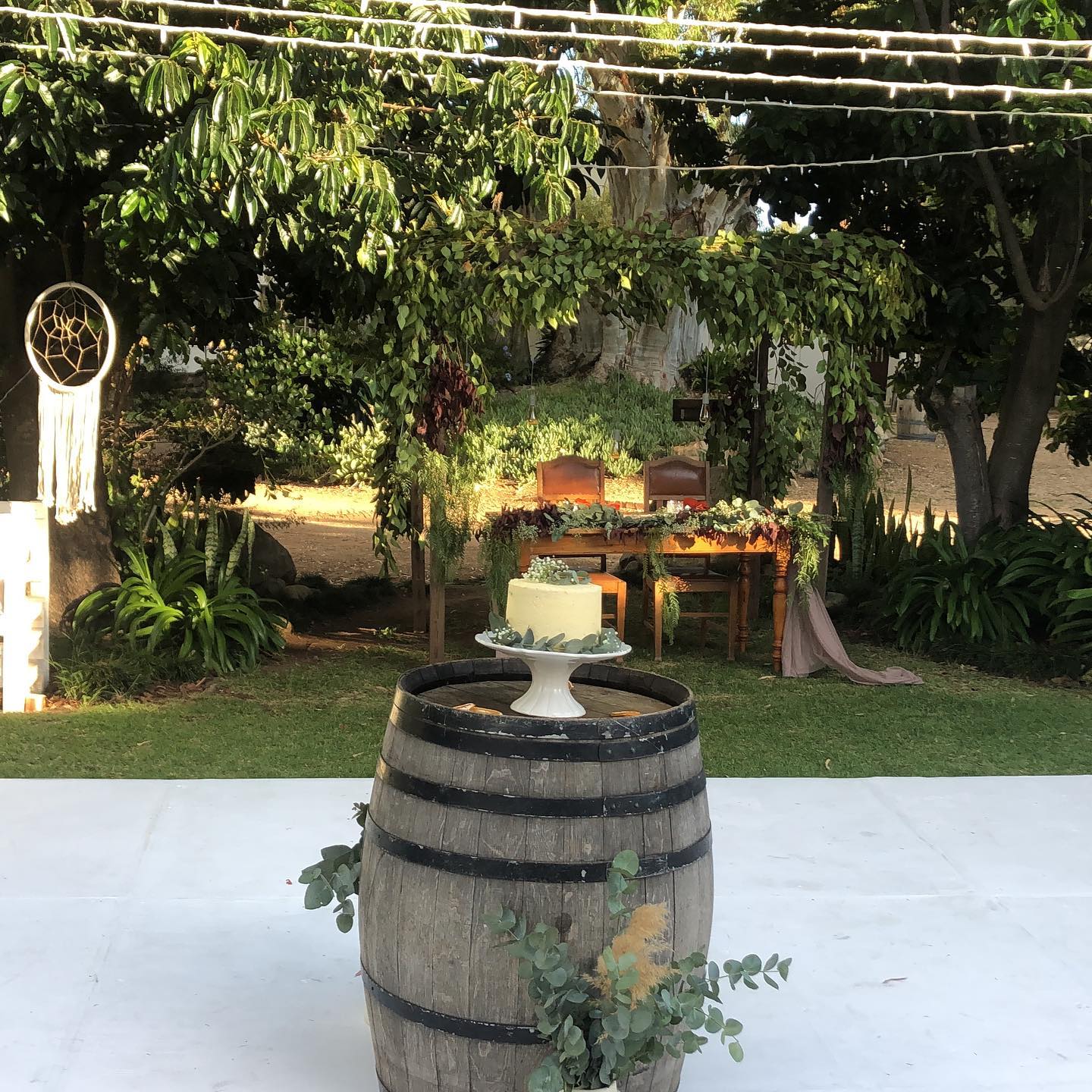 Image 15