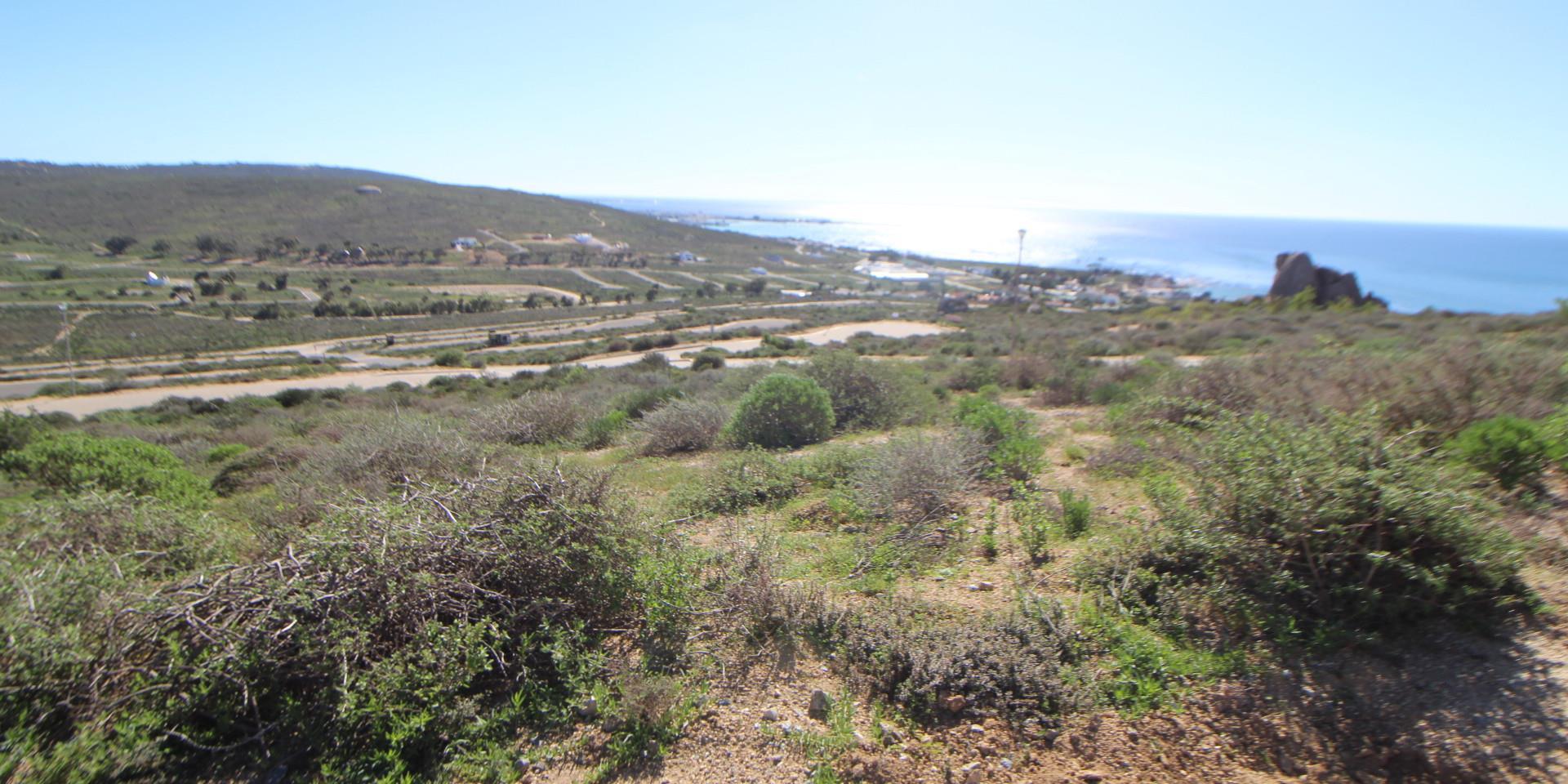 Image 2 of 6