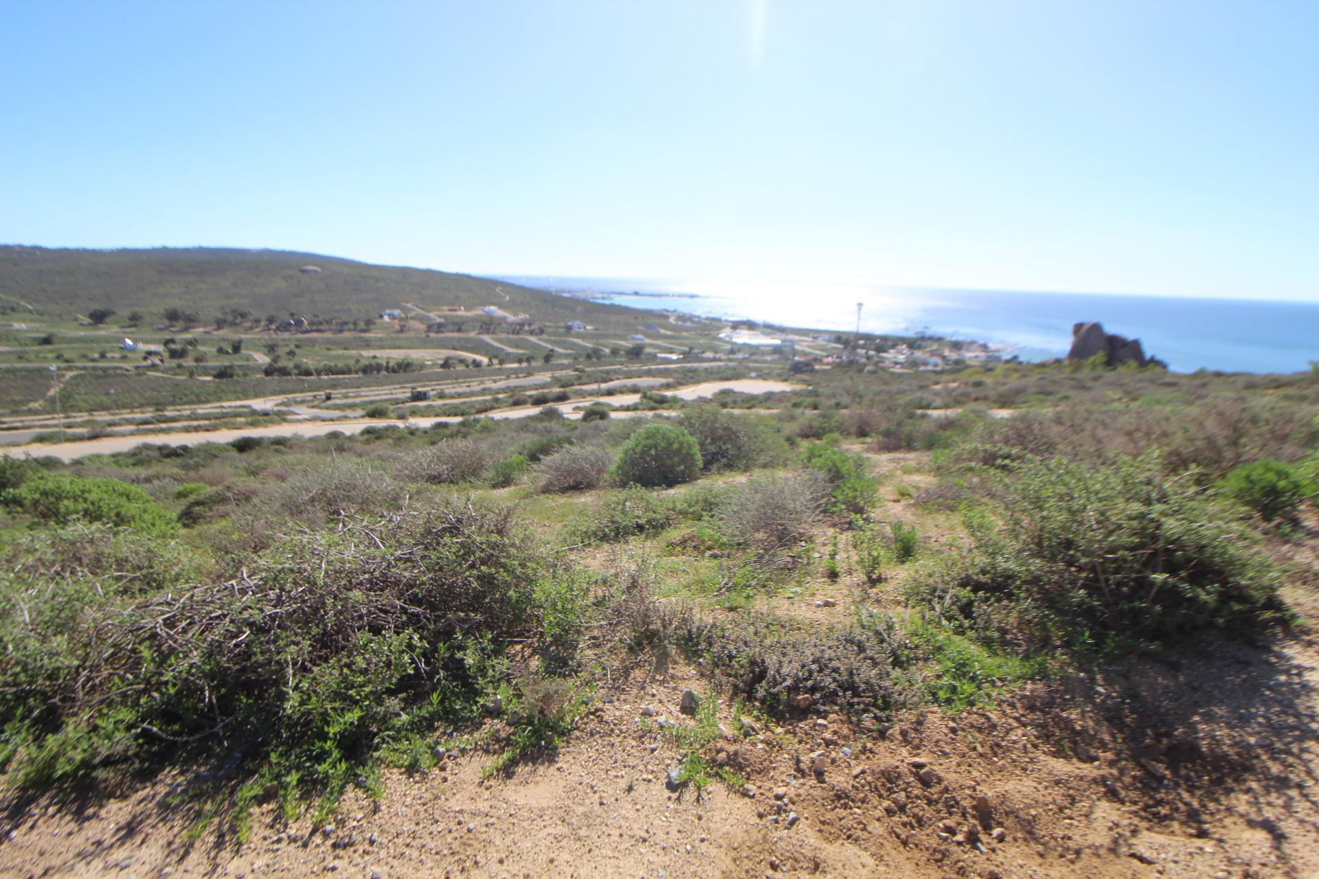 Image 2 of 6