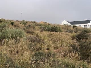 Image 17