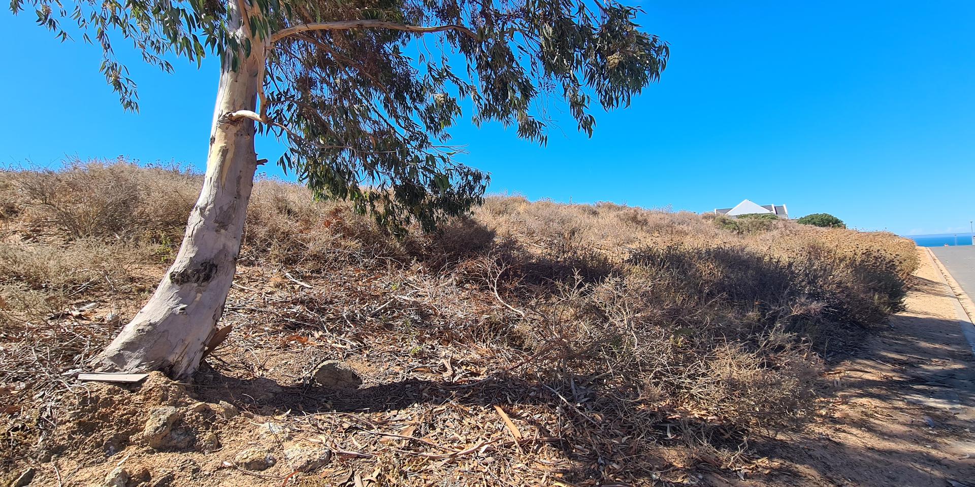 Image 5 of 6