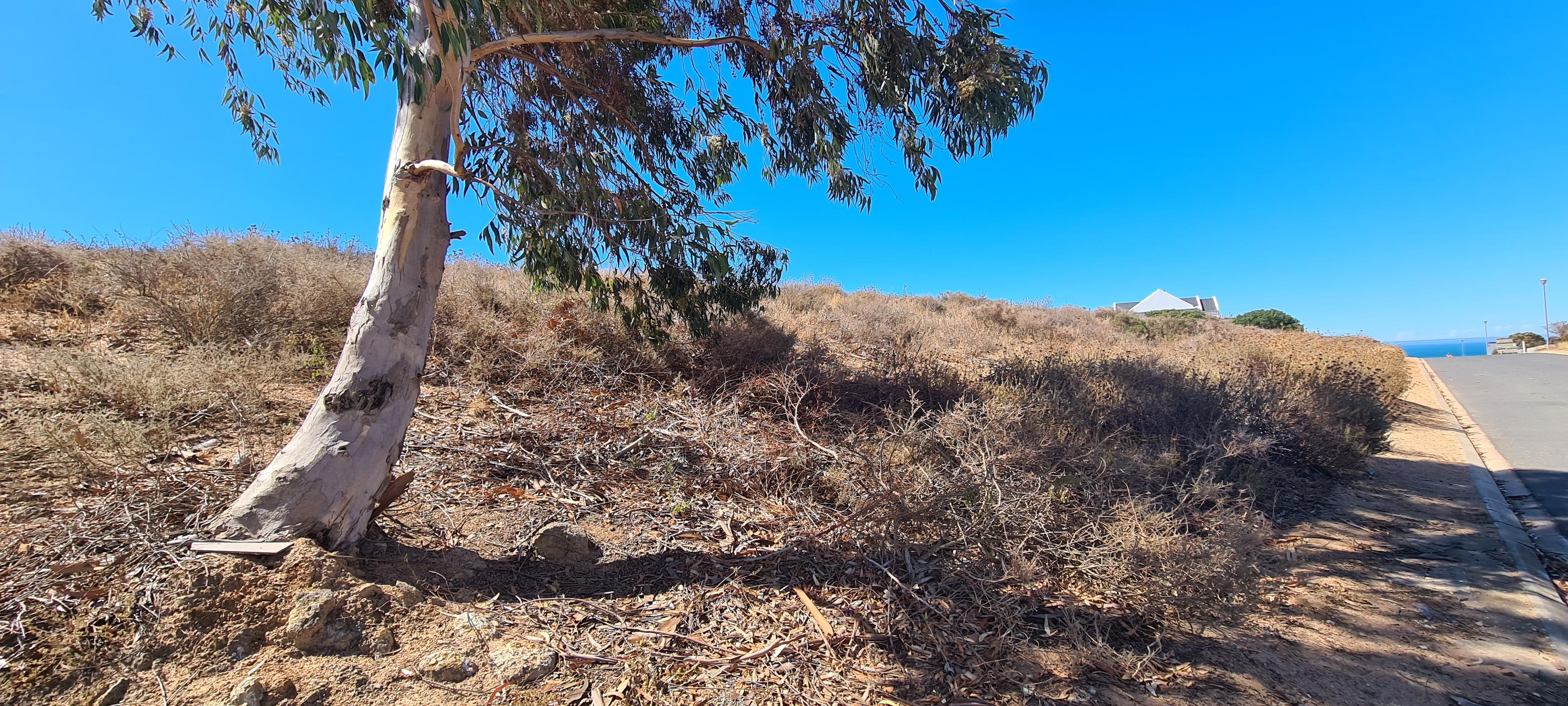 Image 5 of 6