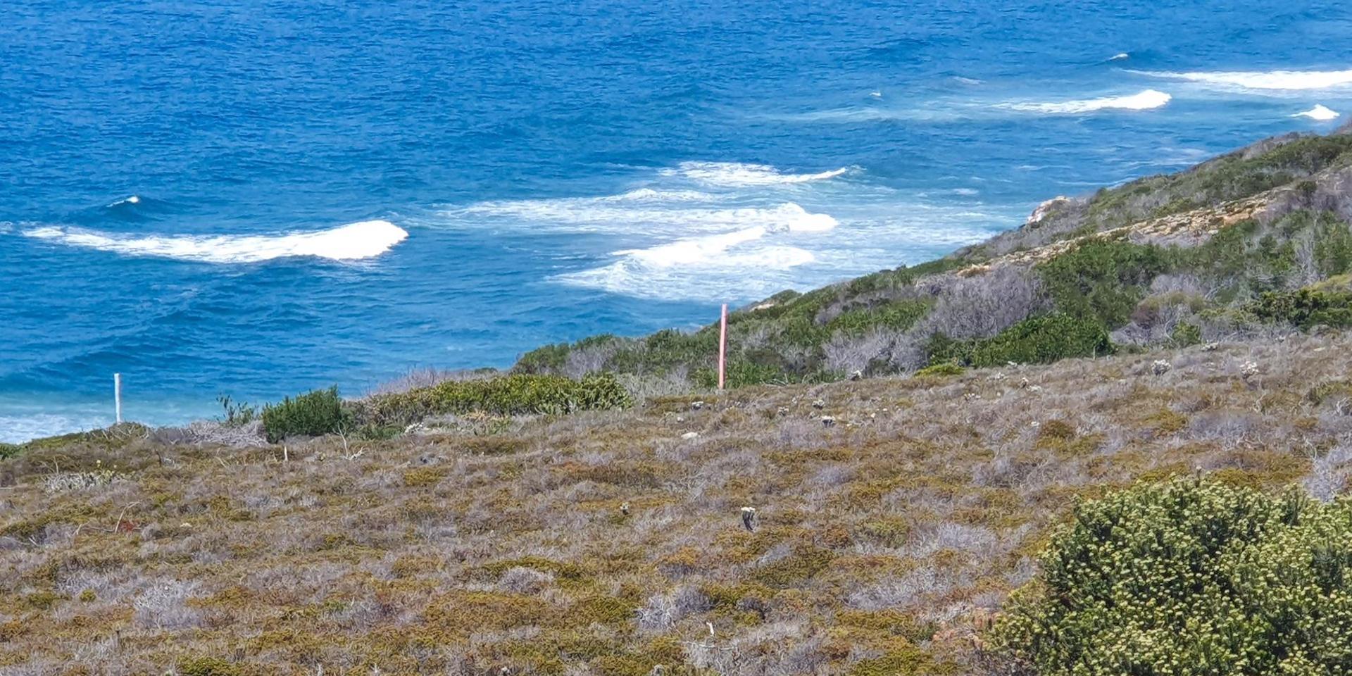 Image 5 of 6
