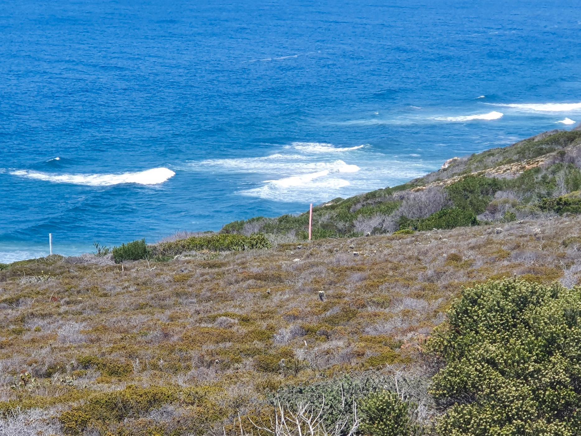 Image 5 of 6