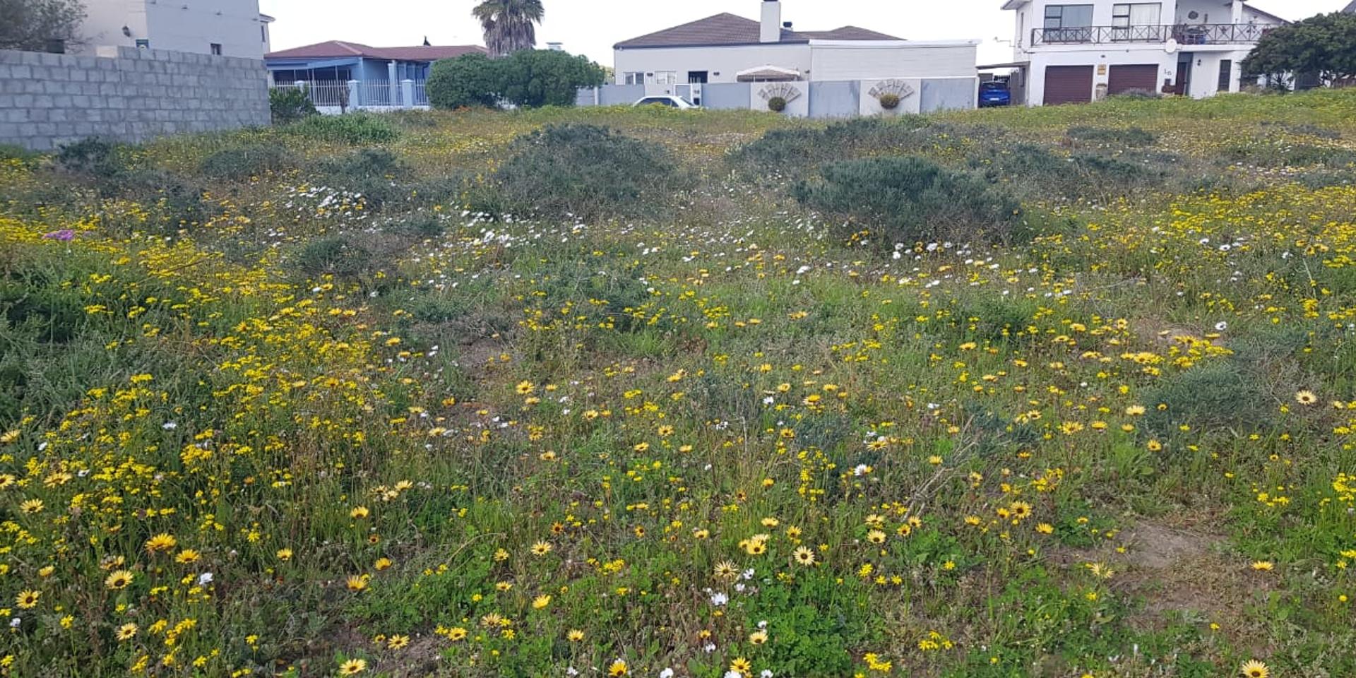 Image 4 of 6