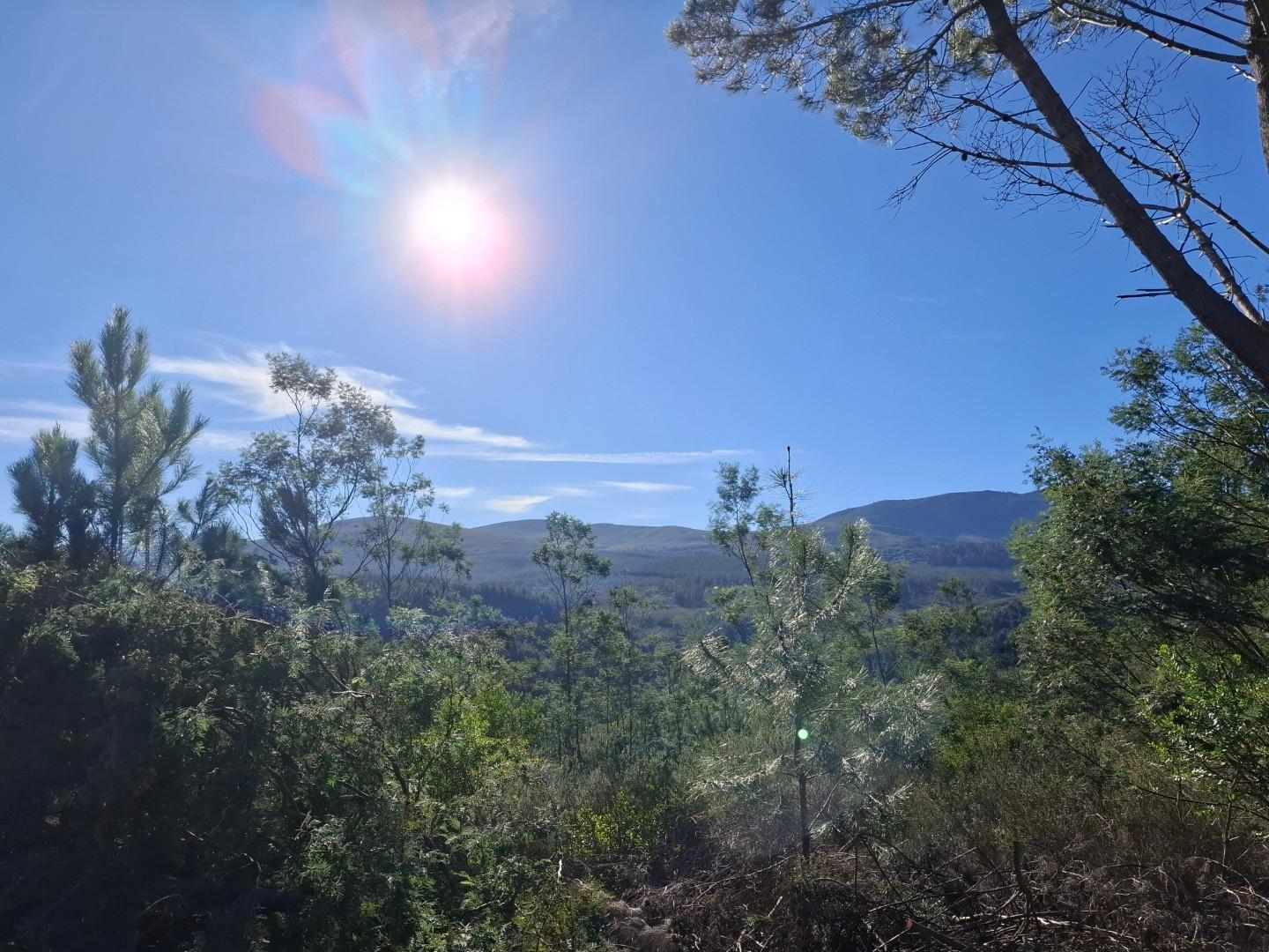Image 4 of 6