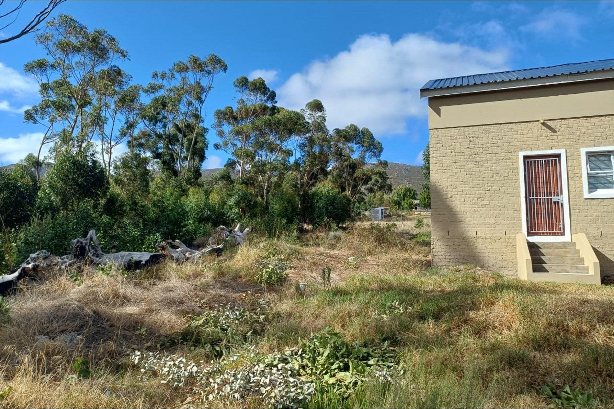 Image 13