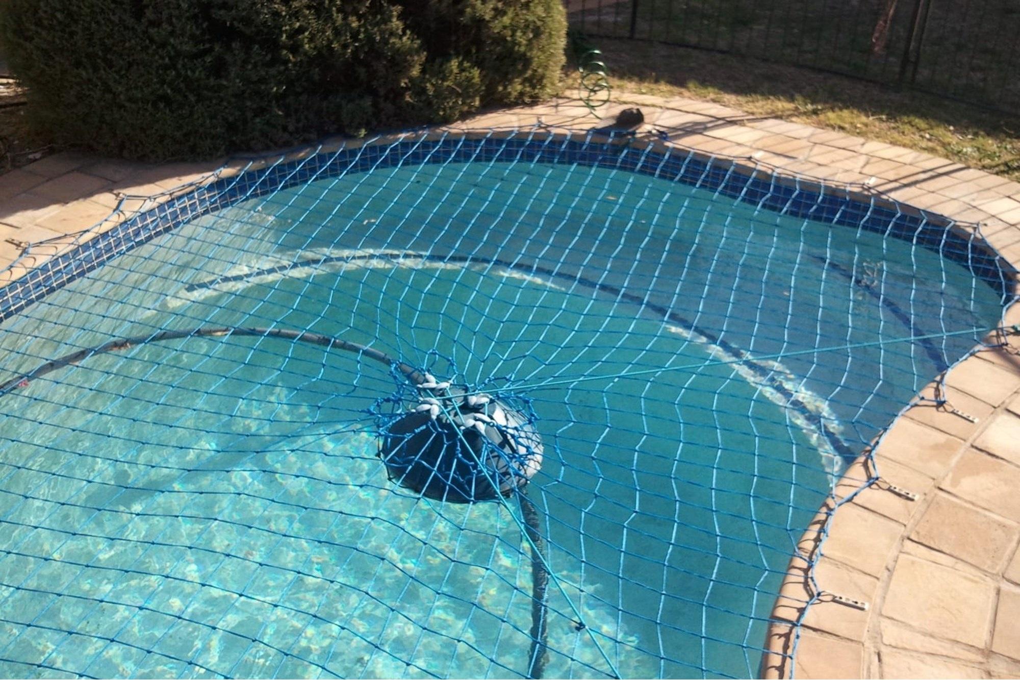 Image 4 of 6