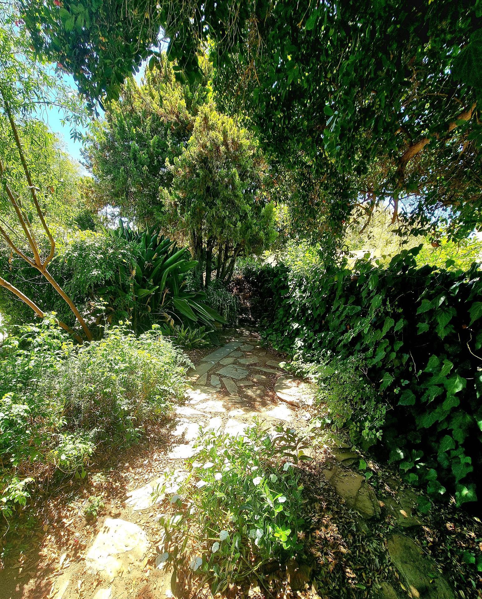 Image 30